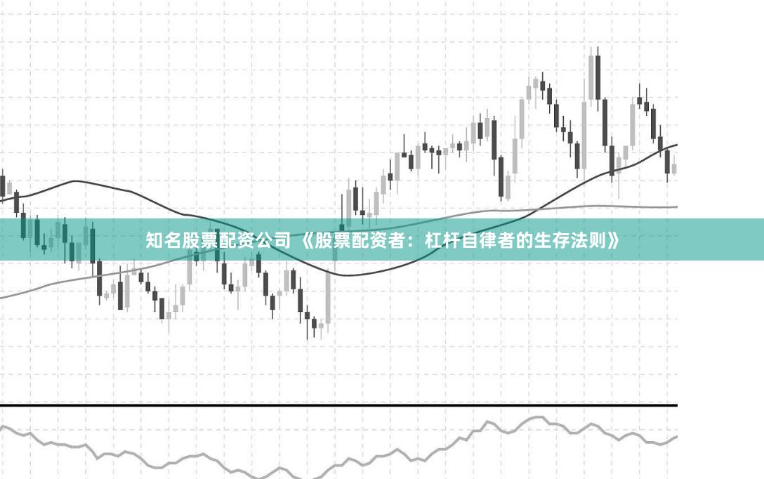 知名股票配资公司 《股票配资者：杠杆自律者的生存法则》